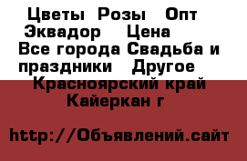 Цветы. Розы.  Опт.  Эквадор. › Цена ­ 50 - Все города Свадьба и праздники » Другое   . Красноярский край,Кайеркан г.